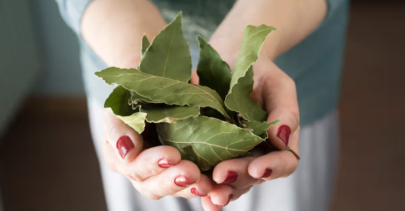 what are the benefits of burning bay leaves